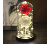 Two Roses Beauty And The Beast Red Rose In A Glass Dome On A Wooden Base Rose Lamp For Valentine's Day Christmas Gift Home Decor