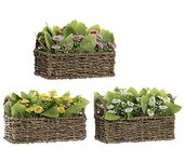 DAMDAM GO  Pack 3 Maceta Artificial plástico Margaritas
