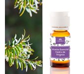 Camassia Aceite esencial cedro de virginia | Aceites esenciales | Juniperus mexicana - 100% natural y puro