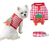 Verde Arnés y Correa para Perro Pequeño Set No Pull Puppy Cat Chaleco Arnés con Bolsillos de Frutas Lindas Malla Suave Palid Pet Walking Leads Rojo XL