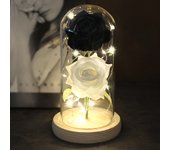 Two Roses Beauty And The Beast Red Rose In A Glass Dome On A Wooden Base Rose Lamp For Valentine's Day Christmas Gift Home Decor