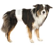 TRIXIE Pañales para Perros Macho - Pack de 2 unidades