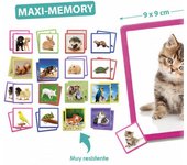 Maxi memory