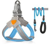 Correa Juego de cuero y Correa para caminar para Perros, reflectante, ajustable y cómodo Chaleco para Perro with Correa para ASA, perfecto para Perros Pequeños, Seguro para caminar, Corre Y