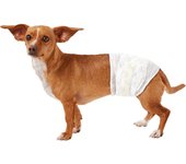 Pañales desechables para Perros machos pañal Sanitarios para Perro mascotas Braga higiénicas