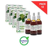 Soria Natural EcoPack 12 Extracto De Castaño De Indias 50 ML
