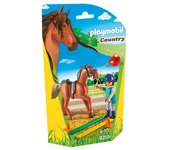 Playmobil 9259 Terapeuta de Caballos PLA9259