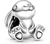 Charms PANDORA Friends, viene con El original estuche
