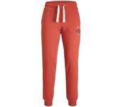 PANTALN CHNDAL GORDON | JACK & JONES