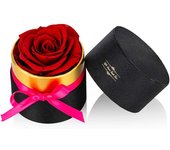 Rosas Rojas Conservadas en Caja de Flores Tamaño Mini Flores Reales Hechas a Mano Pétalos Eternos, Regalos Románticos para Novia, Día de la Madre Cumpleaños Boda Navidad-