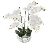 ATMOSPHERA Orquídea con maceta cemento mármol, 65 cm de alto