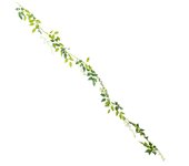 Tenvity Wisteria Vine Artificial Flowers Hanging Silk Garland for Home Garden Outdoor Ceremony Wedding Arch Floral Decoration