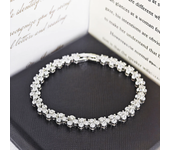 2024 New Luxury Roma 18cm Rose Gold Silver Color Bracelet Bangle for Women Wedding Gift Jewelry Wholesale on Hand Love S5457b