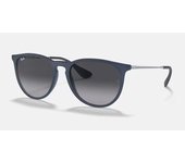 Ray Ban Erika 4171 - Diferentes colores de molduras y lentes