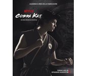 Cobra Kai Series Canvas Poster  Character Prints Wall Art for Living Room Home Decor