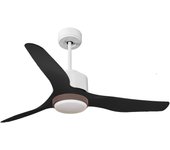 Ventilador de techo