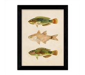 Lámina Nacnic Tres Peces Verdes Marron En Fondo Papel Vintage Poster Papel 250 Gr Alta Calidad
