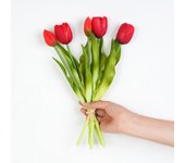 5pcs Artificial Tulip Bouquet Silicone Fake Flowers Party Decoration Living Room Table Centerpiece Floral Arrangement Decoration