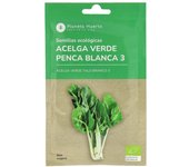 PLANETA HUERTO | Semillas Ecológicas de Acelga Verde – Cultivo Fácil y Hoja Nutritiva para Huertos Urbanos y Jardines