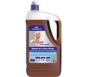 Don Limpio Professional - Limpiador de Superficies Delicadas - Garrafa 5L.