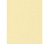 Tarjeta de regalo de perlage Saul Sadoch H 0,70 Mt L 25 Mt Panna