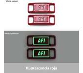 2Pcs Air Force one Luminous Shoelaces Buckle Fluorescent Glowing Sneaker Shoes Accessories AF1/AJ Metal Lock Shoelace Decoration