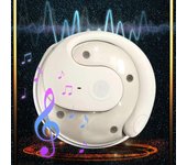 T26 Pro Language Translator Simultaneous Interpretation Earphone Supports Over 75 Different Languages  T26 Pro Headphones Translator Earbuds