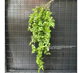 1PC Artificial Hanging Green Plants Fake Rattan Wall Hanging Plastic Vine for Home Garden Restaurant Decoration Soft Landscaping