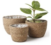 Cesta para macetas de Algas marinas para interior, cubierta para macetas, Contenedores para plantas, natural (paquete de 3)