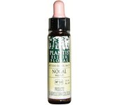 Flores De Bach Nogal-33 Elixir Floral Eco 10 ml de elixir floral  Plantis