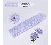 200 PCS Pipe Cleaners, Multi-Colored Pipe Cleaners Craft Supplies, 8 Colors Chenille Stems for DIY Arts Crafts Project