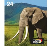 Epson Multipack 6-colours 24 EasyMail