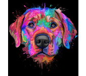 Multicolor Graffiti Dog Head Posters and Pictures Modern Wall Art Canvas Painting Golden Retriever Labrador Bulldog Home Decor