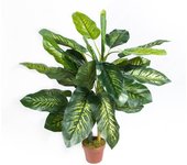 Catral  Planta Artificial Aracea 120 cm  Decoración Hogar Exótica  Planta Realista