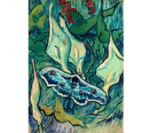 Vincent Van Gogh Classic Collection Art Poster Canvas Painting Terrace At Night Irises Wall Picture Print Living Room Home Decor