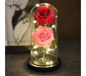 Two Roses Beauty And The Beast Red Rose In A Glass Dome On A Wooden Base Rose Lamp For Valentine's Day Christmas Gift Home Decor