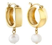 Pendientes Mujer Breil TJ3499 Plata de ley 925