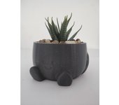 Maceta redonda con brazos y cara alegre - Decoración para el hogar y jardín - 3DRoots