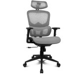 Drift Gaming DRAIR200BG - Silla Gaming Profesional, malla alta calidad y polímero reforzado, reposabrazos acolchados ajustables 2D, pistón clase 4, giratoria, inclinable, negro/gris.