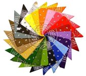Lote de 20 Bandanas Paisley - Foulard Hip Hop en Coton
