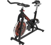 Gorilla Sports Bicicleta estática Indoor Spinning con pedalier F25x50