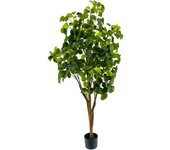 Poenia Arte Floral - Planta Artificial Árbol Aralia 150cm - REF 631277 - Decoración Realista