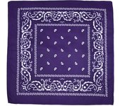Outdoor Cycling 53cm Cotton Square Scarf Women Men Paisley Print HipHop Bandanas Scarves Headband Handkerchief Hair Mask