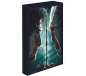 HARRY POTTER - LIENZO CON ILUMINACIÓN 30x40 CM HARRY VS. VOLDEMORT
