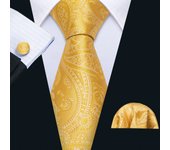 Barry.Wang Gold Beige Yellow Brown Tulip Silk Men Tie Handkerchief Cufflink Set Jacquard Necktie for Male Wedding Business Party