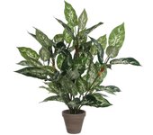 Dieffenbachia PVC Alta Calidad Efecto Natural con Maceta Gris para Decoración de Exteriores
