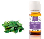 Camassia Aceite esencial laurel BIO | Aceites esenciales | Laurus nobilis - 100% natural y puro - de agricultura ecológica