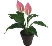 Poenia Arte Floral - Anthurium Artificial en Maceta 43cm - Exuberante y Sofisticada - Decoración Floral Sin Mantenimiento