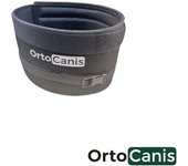 Collar inmovilizador para perro Ortocanis