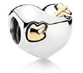 Charm Pandora  791171